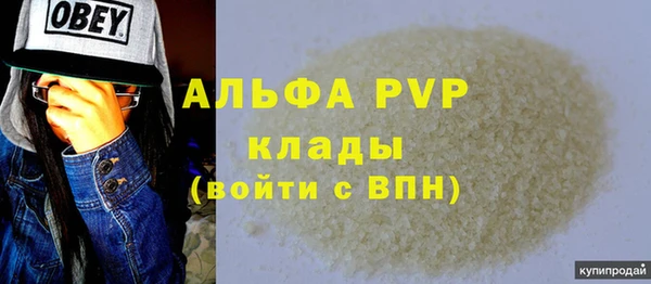 прущие грибы Няндома