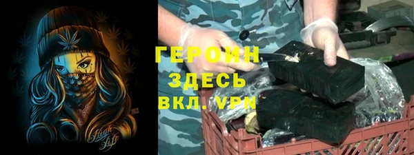 индика Новодвинск