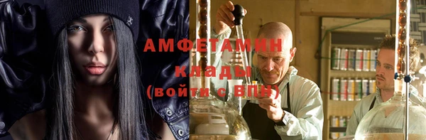 прущие грибы Няндома
