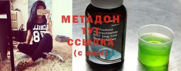 индика Новодвинск