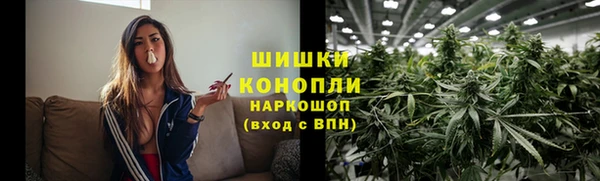 индика Новодвинск