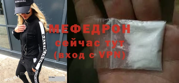 индика Новодвинск