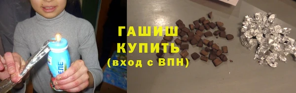 прущие грибы Няндома