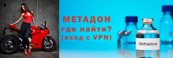индика Новодвинск