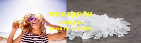 прущие грибы Няндома