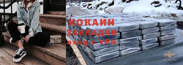 прущие грибы Няндома