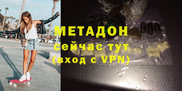 индика Новодвинск