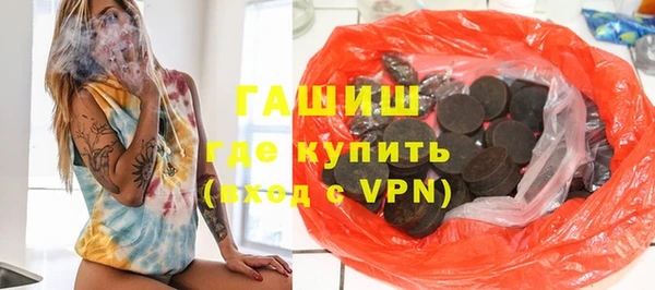 индика Новодвинск