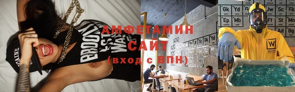прущие грибы Няндома